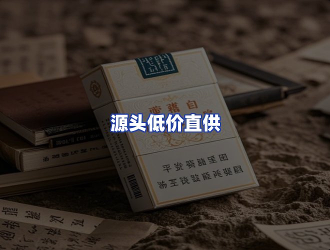 专业团队